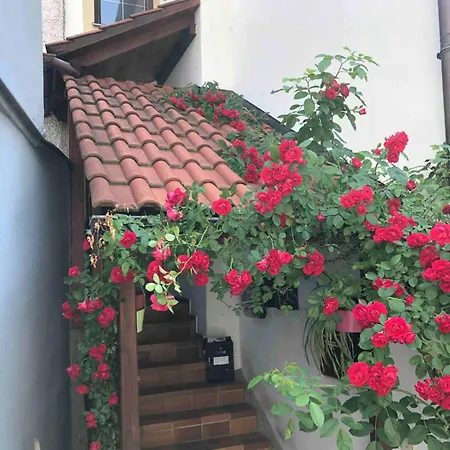 דירה Im Rosenhof לינדאו