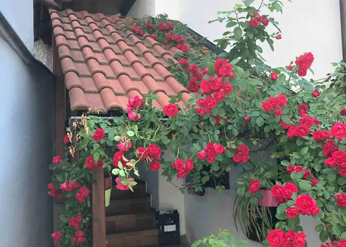 Apartmán Im Rosenhof Lindau